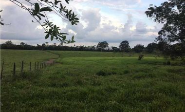 Vendo Lote de terreno , con casa de encargado ,y servicios Restrepo