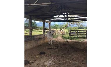 Vendo Lote de terreno , con casa de encargado ,y servicios Restrepo