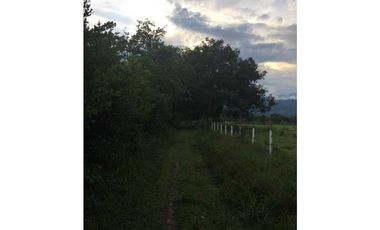 Vendo Lote de terreno , con casa de encargado ,y servicios Restrepo