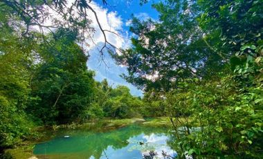 Vendo Lote de terreno , con casa de encargado ,y servicios Restrepo