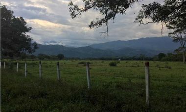 Vendo Lote de terreno , con casa de encargado ,y servicios Restrepo