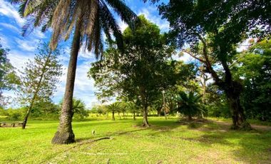 Vendo Lote de terreno , con casa de encargado ,y servicios Restrepo