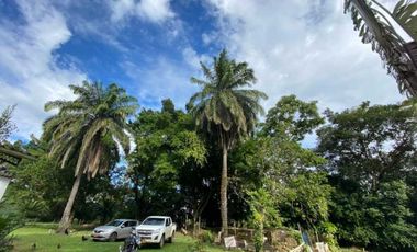 Vendo Lote de terreno , con casa de encargado ,y servicios Restrepo