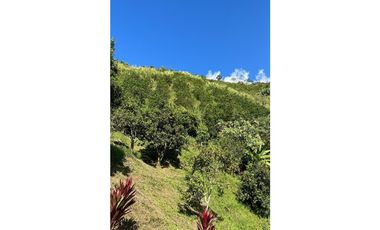 Se vende finca Barbosa Antioquia