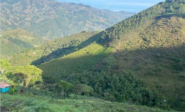 Se vende finca Barbosa Antioquia