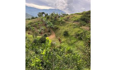 Se vende finca Barbosa Antioquia