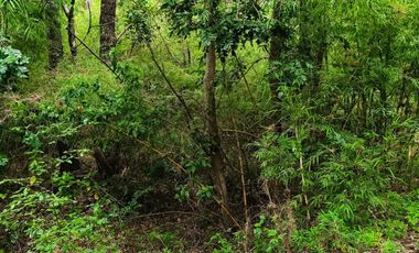 Extraordinario terreno en Recinto, camino Termas de Chillán