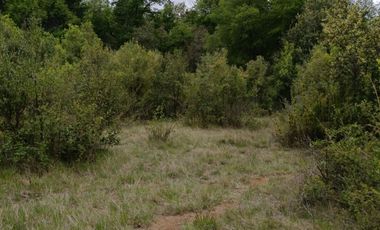 Extraordinario terreno en Recinto, camino Termas de Chillán