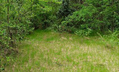 Extraordinario terreno en Recinto, camino Termas de Chillán