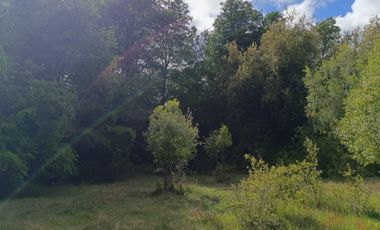 Extraordinario terreno en Recinto, camino Termas de Chillán