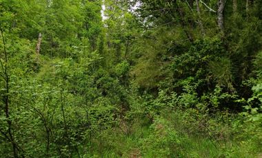 Extraordinario terreno en Recinto, camino Termas de Chillán