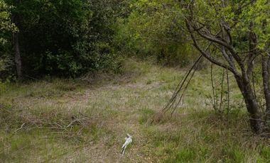 Extraordinario terreno en Recinto, camino Termas de Chillán