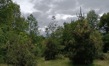 Extraordinario terreno en Recinto, camino Termas de Chillán