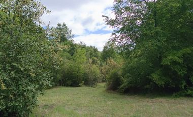 Extraordinario terreno en Recinto, camino Termas de Chillán