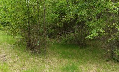 Extraordinario terreno en Recinto, camino Termas de Chillán