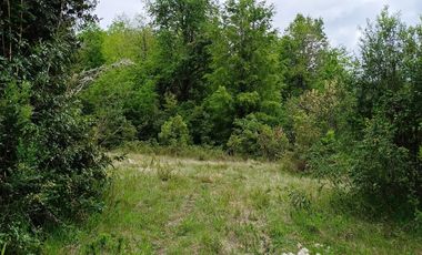Extraordinario terreno en Recinto, camino Termas de Chillán