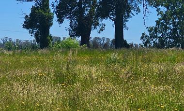 Parcela en venta en OSORNO