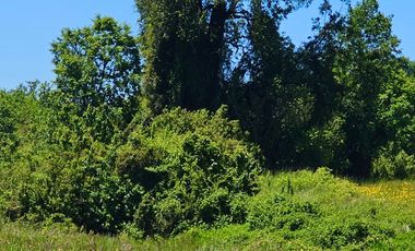 Parcela en venta en OSORNO