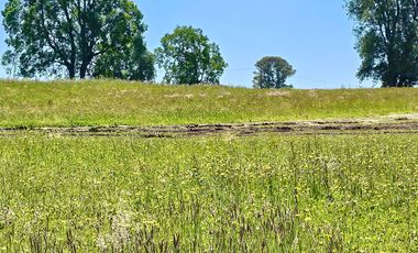 Parcela en venta en OSORNO