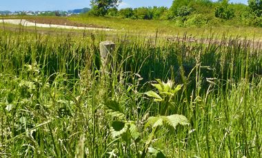 Parcela en venta en OSORNO
