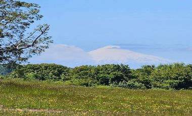 Parcela en venta en OSORNO