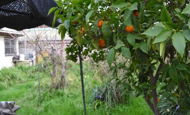 Casa en venta en EL BOSQUE
