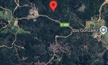 Parcela en Venta en TAMBOR ALTO, PREDIO HIJUELA 5