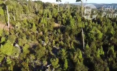 Parcela en Venta en TAMBOR ALTO, PREDIO HIJUELA 5