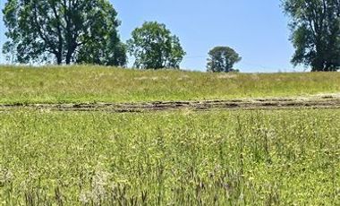 Parcela en Venta en u-490