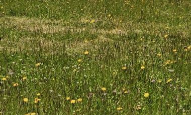 Parcela en Venta en u-490