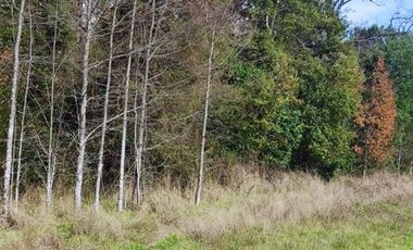 Parcela en Venta en u-490