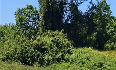 Parcela en Venta en u-490