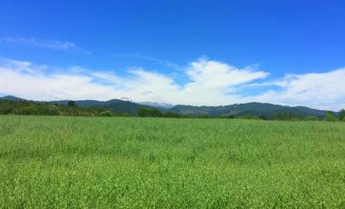 Parcela en Venta en La Amalia