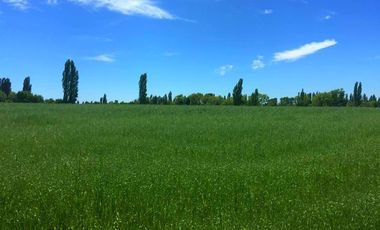 Parcela en Venta en La Amalia