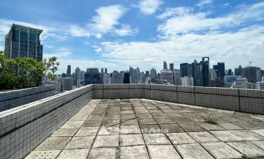 Pet friendly,Huge Terrace Condo with a large balcony and city view at All Seasons Mansion