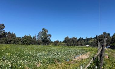 Parcela en Venta en Loteo Alto La Viña Talca