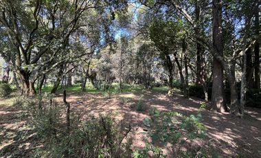 Terreno en Tepetlixpa, Estado de México