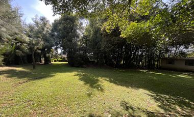 Terreno en Tepetlixpa, Estado de México