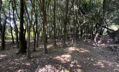 Terreno en Tepetlixpa, Estado de México