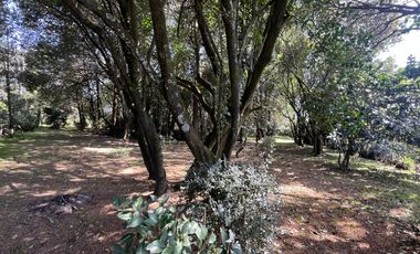 Terreno en Tepetlixpa, Estado de México