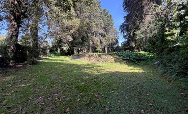 Terreno en Tepetlixpa, Estado de México
