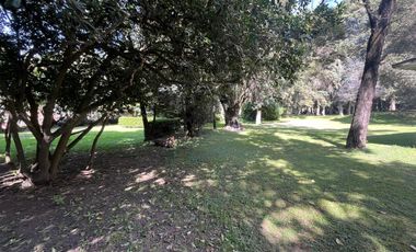Terreno en Tepetlixpa, Estado de México