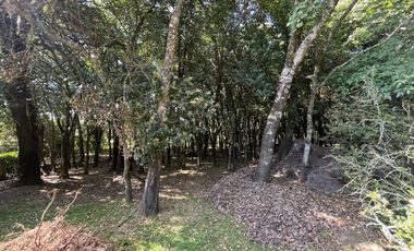 Terreno en Tepetlixpa, Estado de México