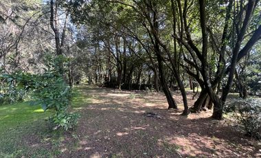 Terreno en Tepetlixpa, Estado de México