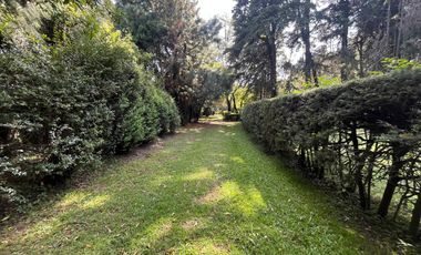 Terreno en Tepetlixpa, Estado de México