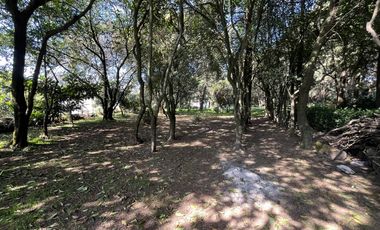 Terreno en Tepetlixpa, Estado de México