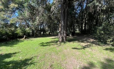 Terreno en Tepetlixpa, Estado de México