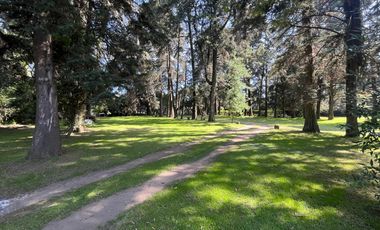 Terreno en Tepetlixpa, Estado de México