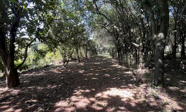Terreno en Tepetlixpa, Estado de México