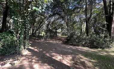 Terreno en Tepetlixpa, Estado de México